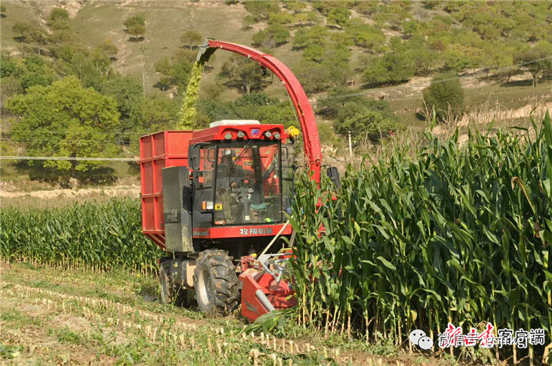 774B953DDA0A1A1C7EEFB535BC3_872ECC6C_FABF2