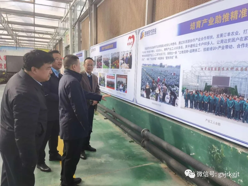 99C8AD762FC4FC6E25767172A96_519DD0BB_4427E