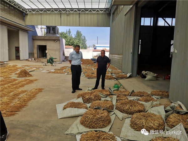 DA747A37C76523DE9F9F6B1EAE9_A34D3BB7_10D80