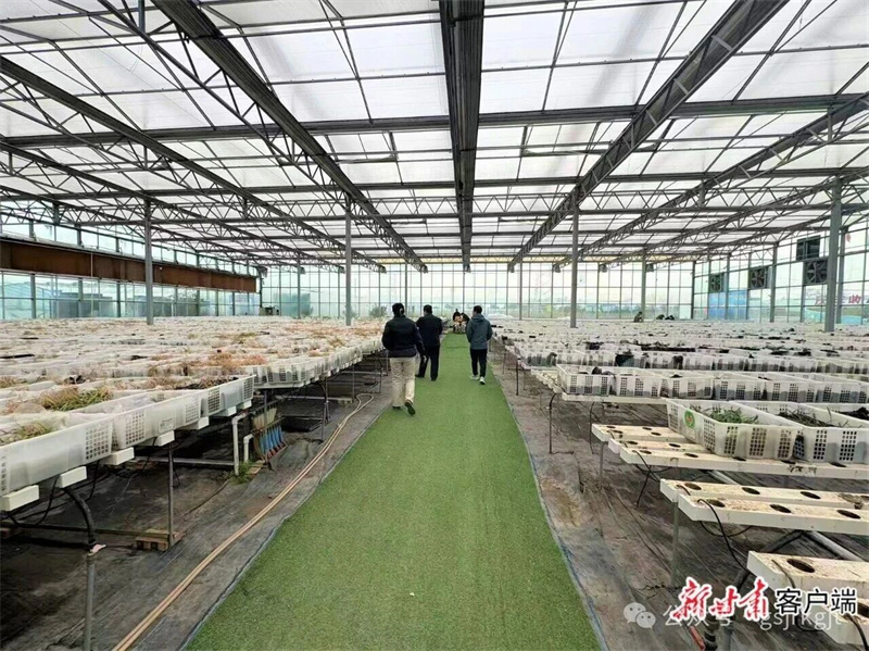 B839106B34D1D298EAA3645022B_BA08B1C3_49780