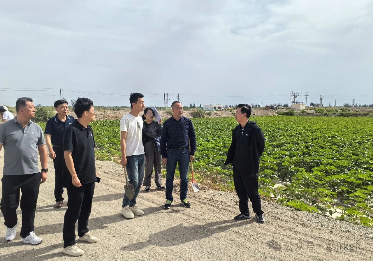 8652A3D7FAECBA2222B65091D8C_F9B22378_411D6