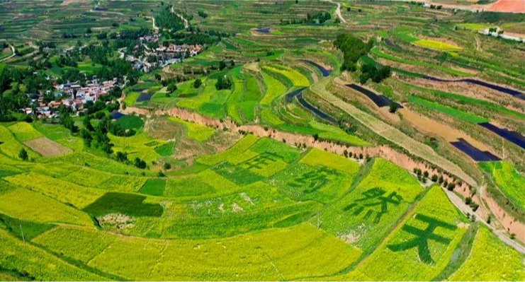 实干笃行勇担任 善作善成开新局——BJL平台集团融资担保集团股份有限公司成立五周年发展纪实