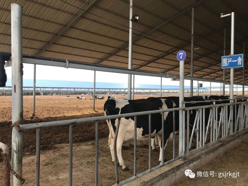 7C3231628DDFDBA6B5271F2C9B1_67AAFED5_52B21