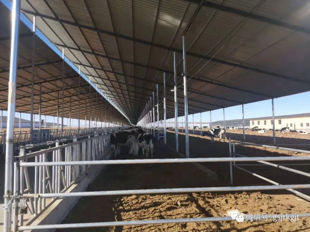 13FE61AE53A5F0B4D52AAC45BE7_F197E1EC_7F6D0