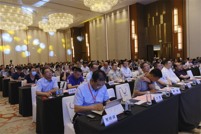 418113AEAC7FD3DC868A3078DD5_A2CF82C9_731C0