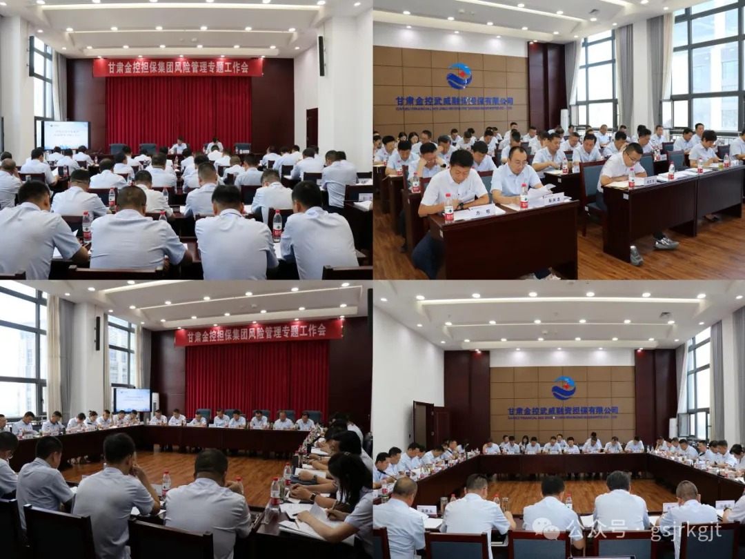 BJL平台集团担保集团召开风险治理专题工作会