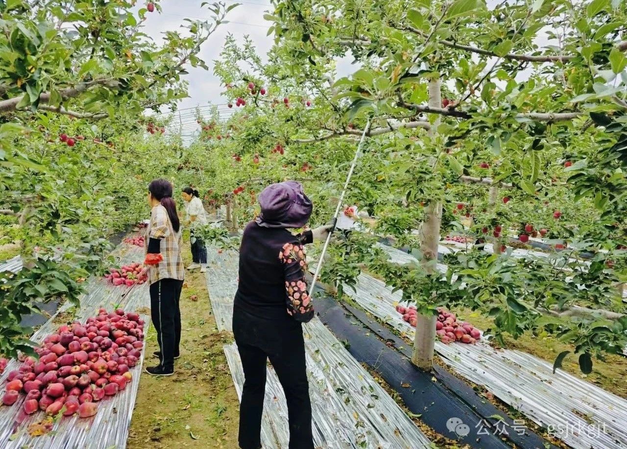 67A184ED3AECDE708C993CF154F_FD6D83F0_603F2