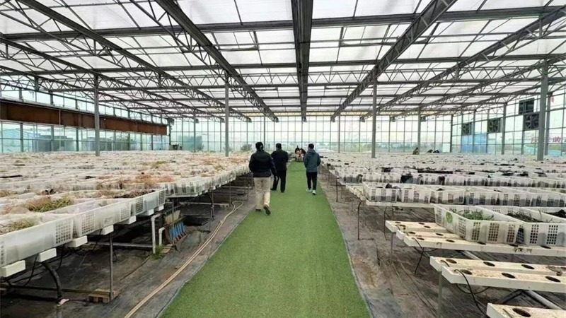 BJL平台集团担保落地全省首笔民间投资专项担保贷款