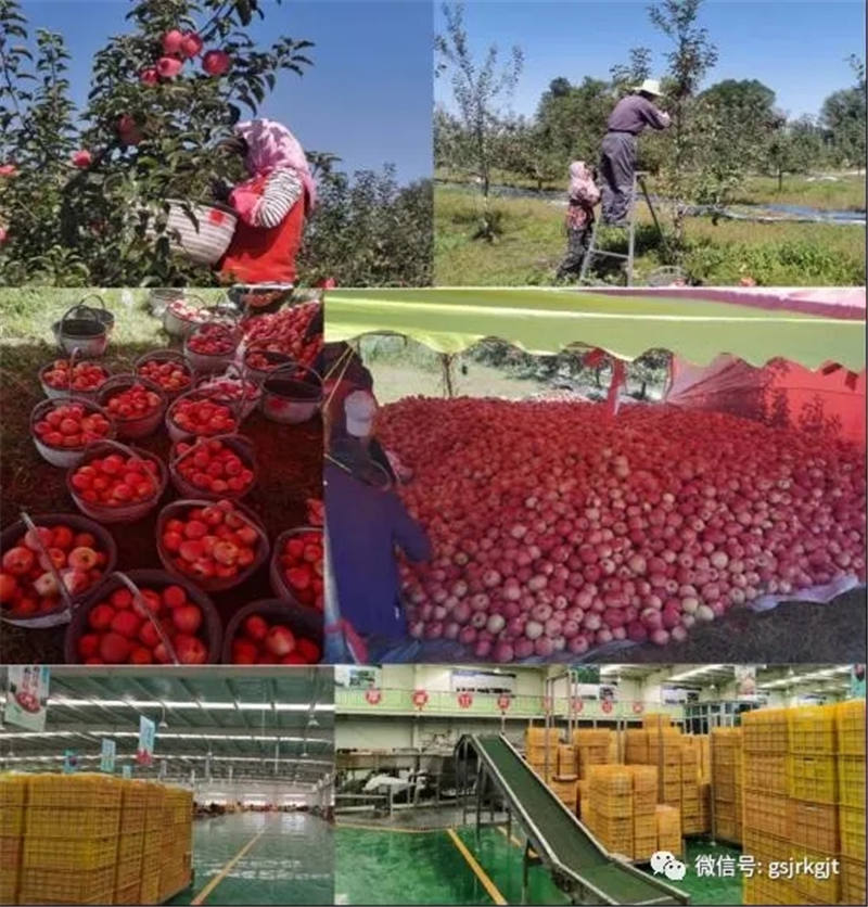 2F7F5A60176398796A8B45A407D_6ADD453C_20B42