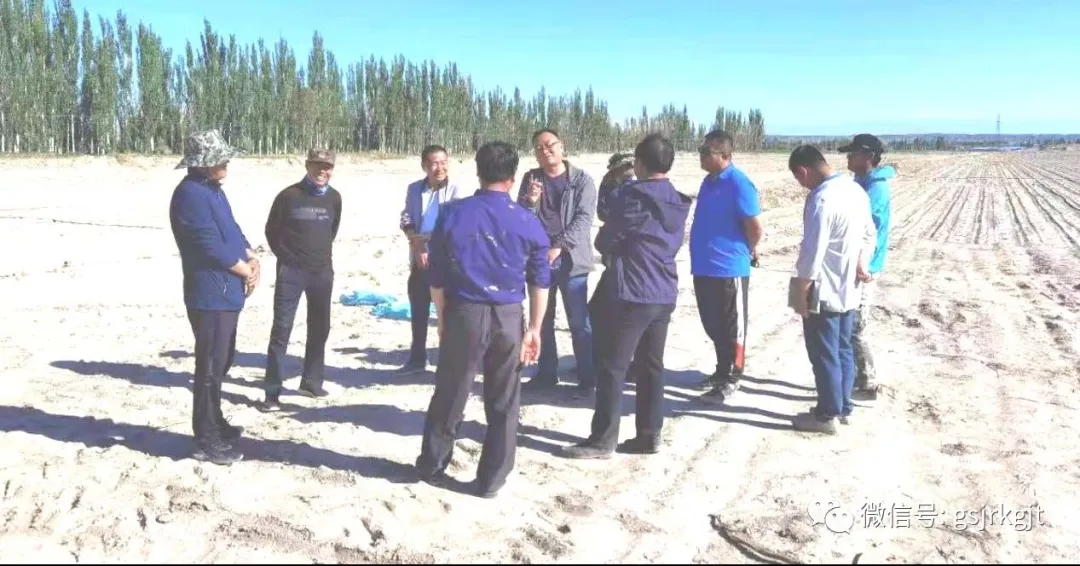 A6290B02610FA3B49916DB8D33C_456D7DC1_60397