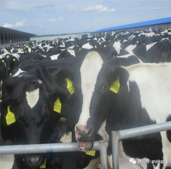 7D08BFC8F81B08957AE74463194_4AFAE3D5_12AB0