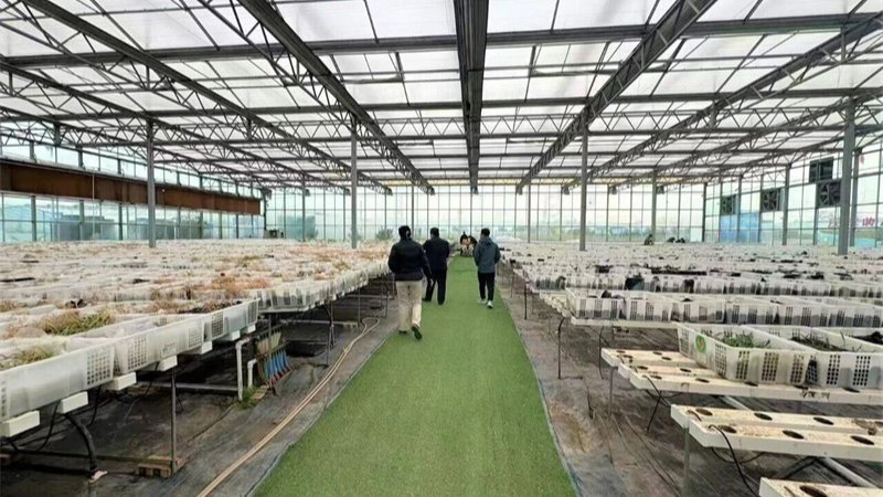 媒体关注 | 民间投资专项担保政策在甘肃进入内容推动阶段