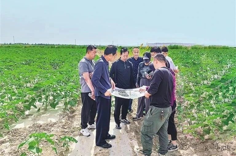 CED0766855969807B3E71AE5C12_8BCEEDEB_1D100