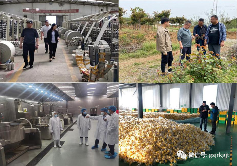 1FA629E769D94E539F65765CA45_6A5ADB7B_374FC