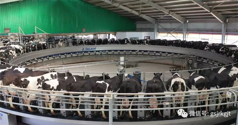 DB8FC8498F67F99DEB691D001EA_4EDAB9F6_595B8