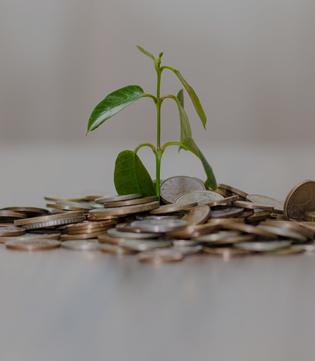 bjl平台·(中国)集团