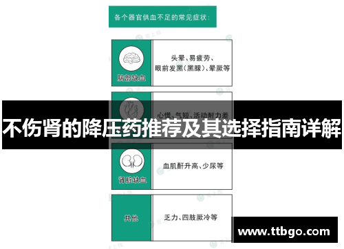 不伤肾的降压药推荐及其选择指南详解